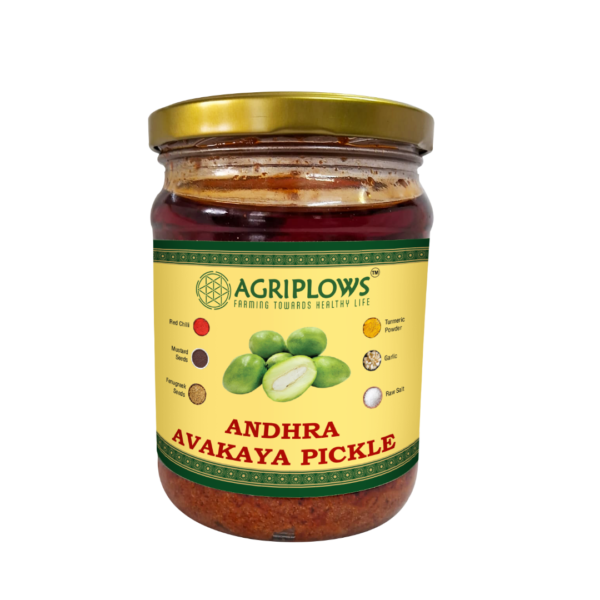 Andhra Avakaya Pickle